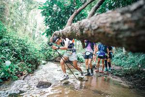 BIB: 
                            <button type="button" onclick="openModal(25373041)" class="btn btn-primary btn-sm float-right btn-popup" data-toggle="modal" data-target=".modal-high-quality">
                        <i class="fas fa-shopping-cart"></i> Add to Cart
                    </button>
                                            <button type="button" onclick="isThisMe(25373041, true)" class="btn btn-success btn-sm float-right btn-popup btn-isme hidden" data-toggle="tooltip" data-placement="bottom" title="นี่คือรูปของคุณใช่ไหม คลิกที่นี่เพื่อเอาเข้าอัลบั้ม">
                        <i class="fas fa-plus"></i> Add to album
                    </button>
                    <button type="button" onclick="isThisMe(25373041, false)" class="btn btn-warning btn-sm float-right btn-popup btn-isnotme hidden">
                        <i class="fas fa-ban"></i> Remove from album
                    </button>